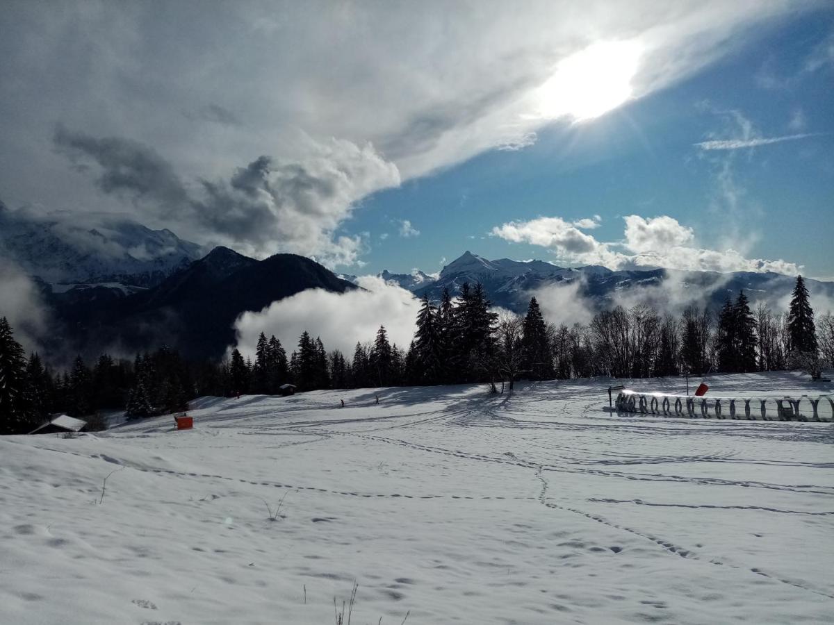 Appartamento Mont Étape , F2, 42 m2, Calme, Vue Mt Blanc Passy  Esterno foto