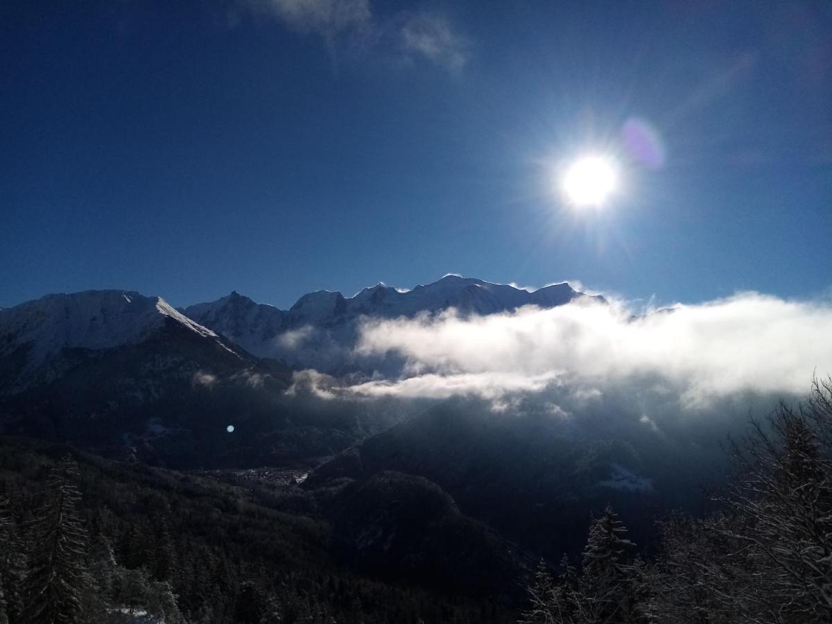 Appartamento Mont Étape , F2, 42 m2, Calme, Vue Mt Blanc Passy  Esterno foto