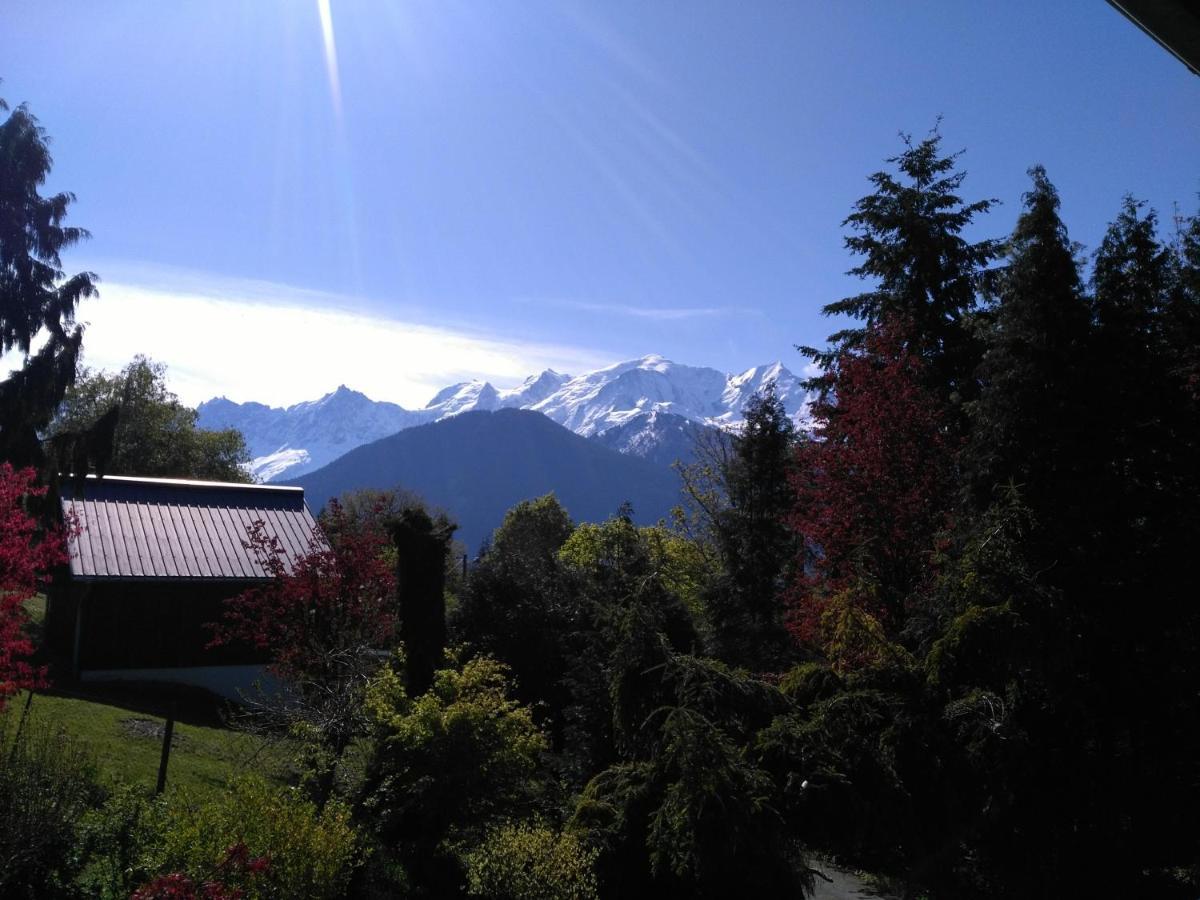 Appartamento Mont Étape , F2, 42 m2, Calme, Vue Mt Blanc Passy  Camera foto